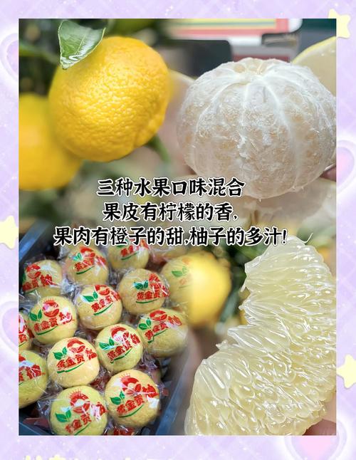 茶陵:“柚”到丰收季 黄金贡柚喜获丰收