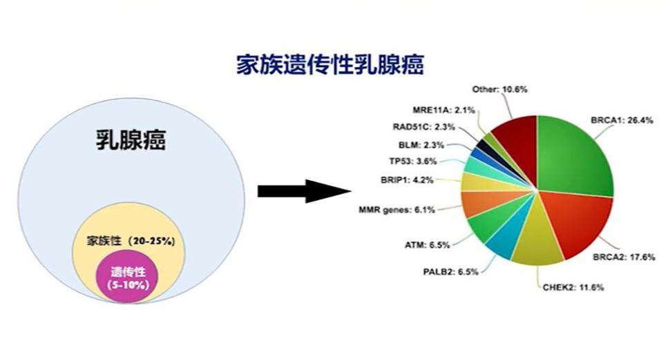 空气污染或致患乳腺癌几率增45%