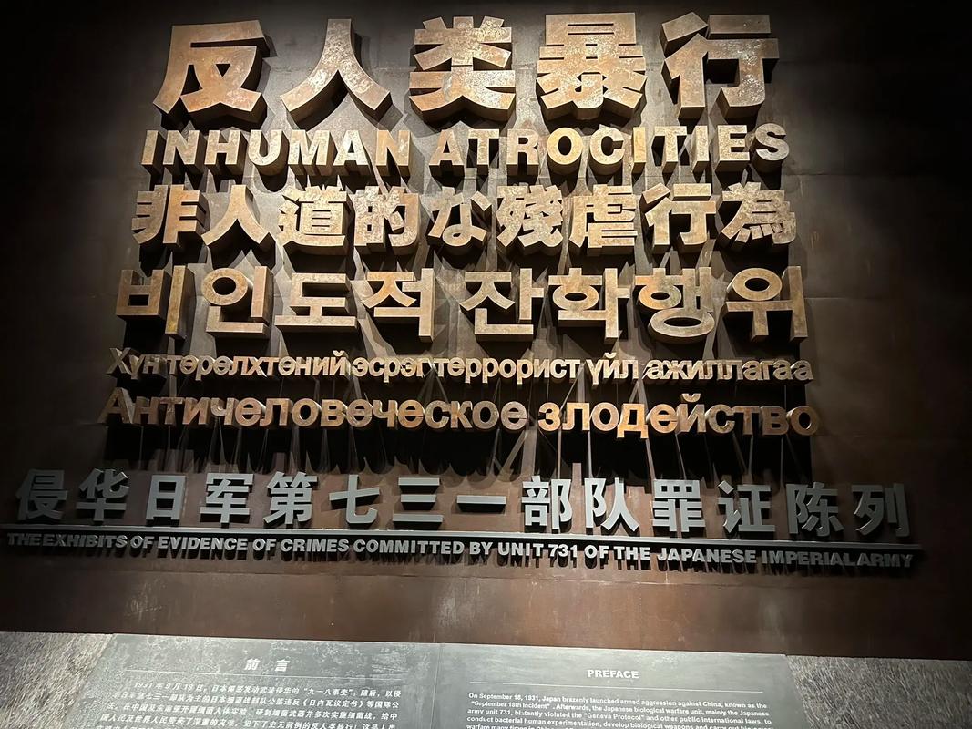 日民间团体:东京军医学校旧址的人骨与731部队有关
