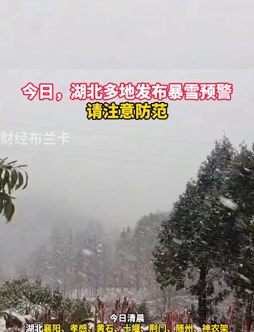 寒潮来袭 湖北多地发布暴雪预警
