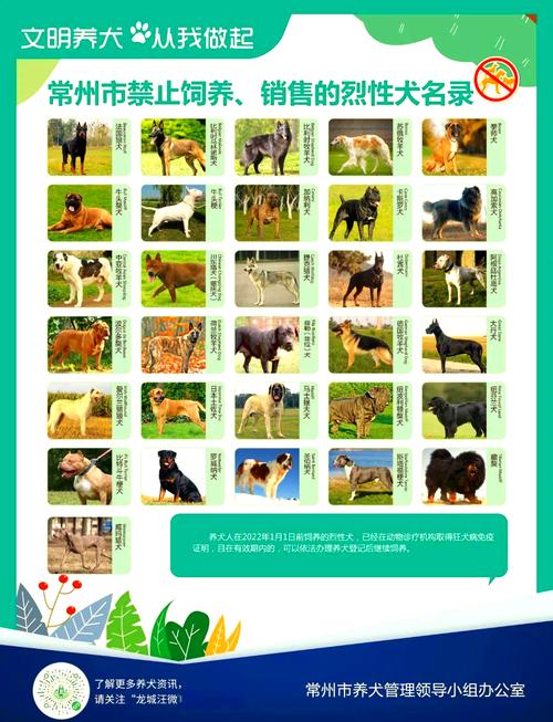 深圳公布38种禁养烈性犬名单 新增烈性犬品种14种