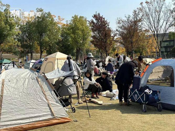 杭州发布首个“小草公约” 促公园绿地开放共享可持续化