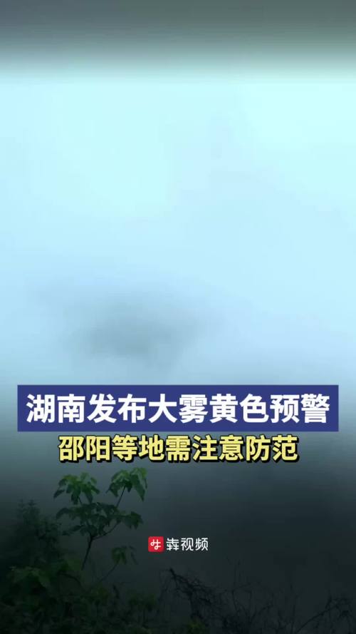 湖南省岳麓区发布大雾黄色预警_1