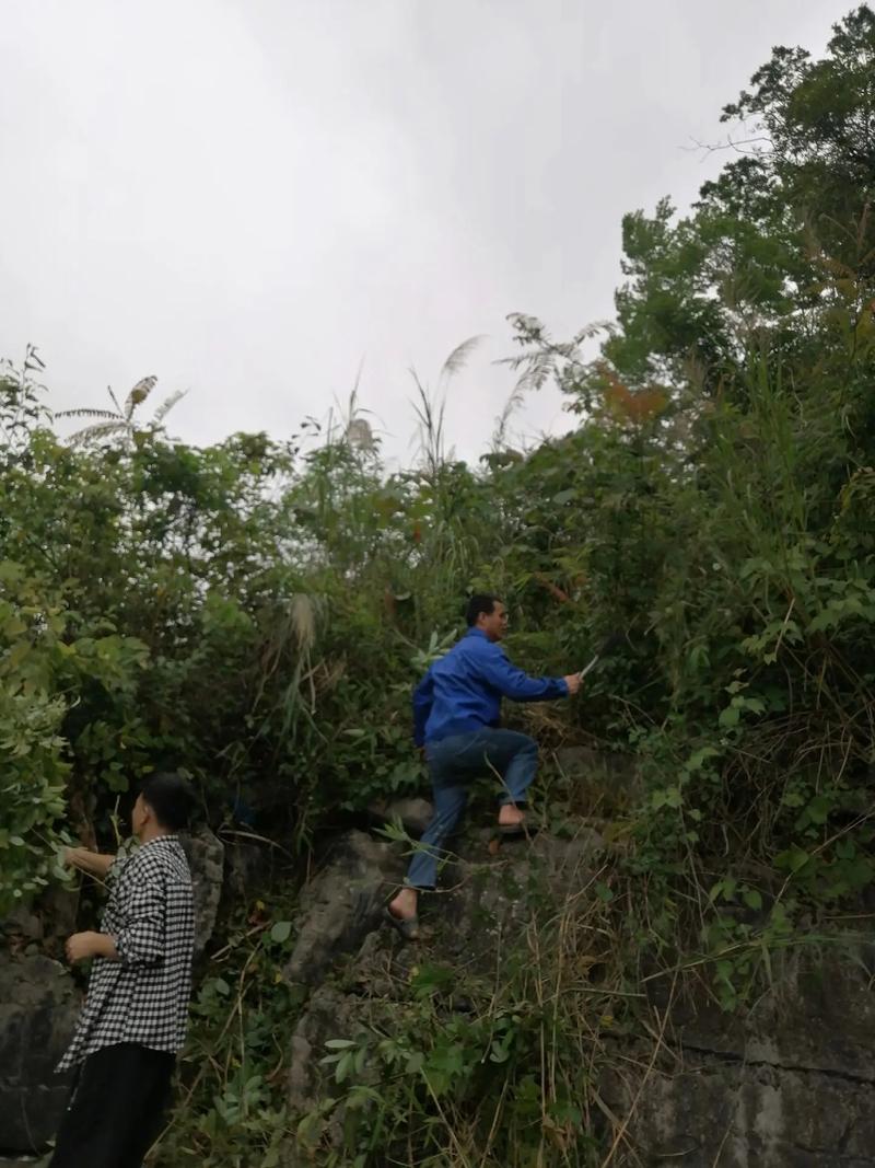 “森林法官”进深山