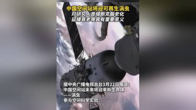涡虫“上天”!中国空间站将迎新生命体