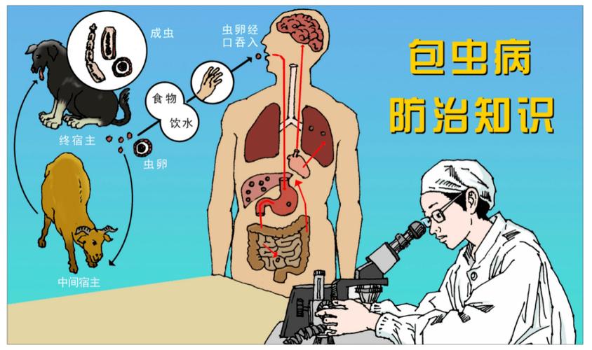 “青海好人”马霄防治包虫病二十八年如一日
