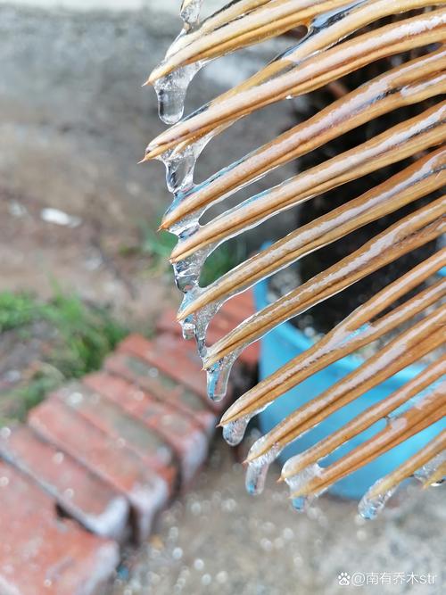 雨雪过后 农事“升温”湖南益阳灾后加紧恢复农业生产见闻