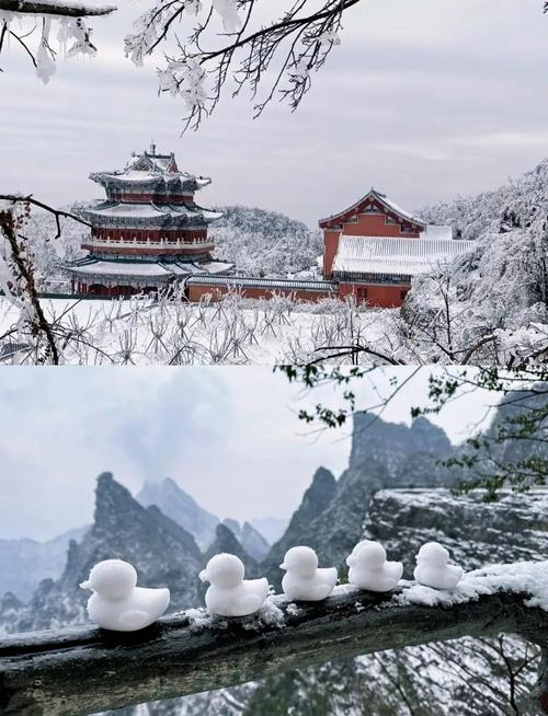 高清组图!张家界天门山迎今冬首场雾凇,部分游道临时关闭,索道正常运行