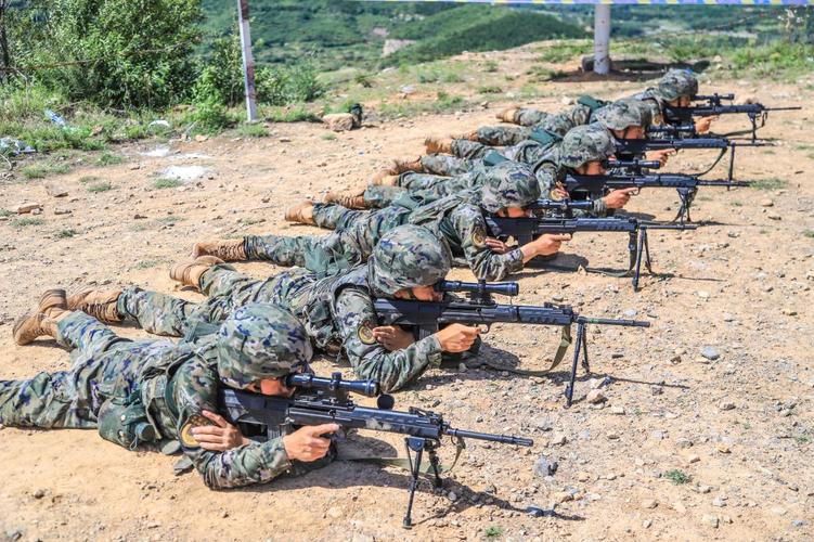 陆军某旅组织实弹射击训练