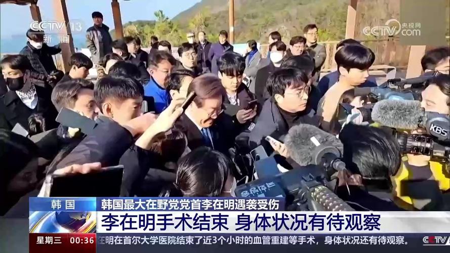 韩最大在野党党首李在明出院居家治疗