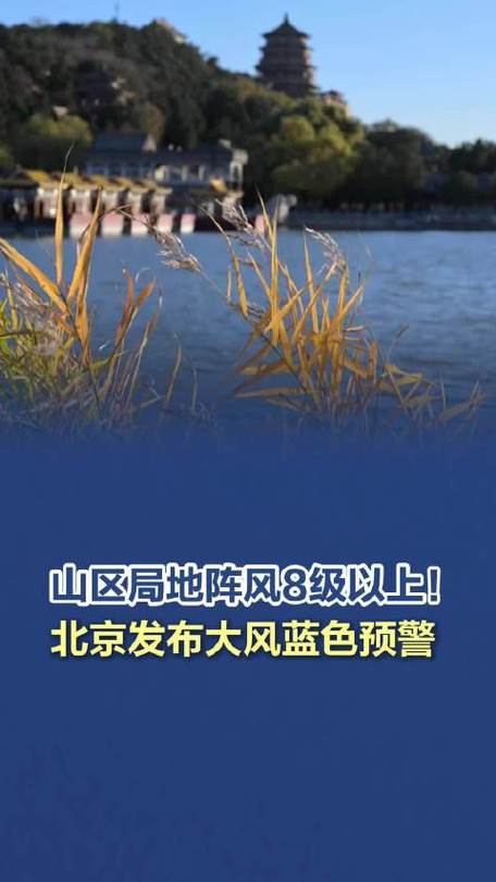 阵风7级！北京发布大风蓝色预警信号