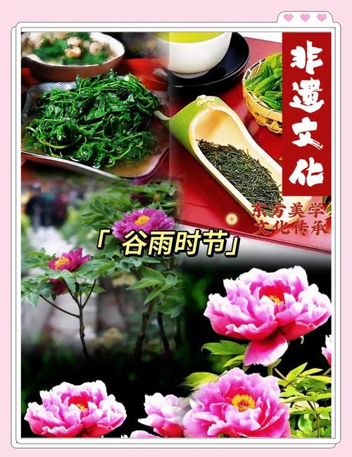 赏牡丹、吃春菜……打卡这些谷雨民俗活动