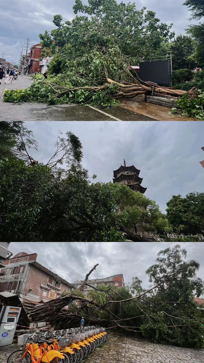 今年第3号台风“格美”生成 最强可达强台风级或超强台风级