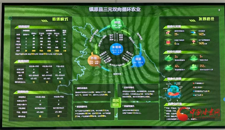 琼中将生态优势不断转化为产业优势 构建山兰稻全产业链 拓宽“两山”转化路径